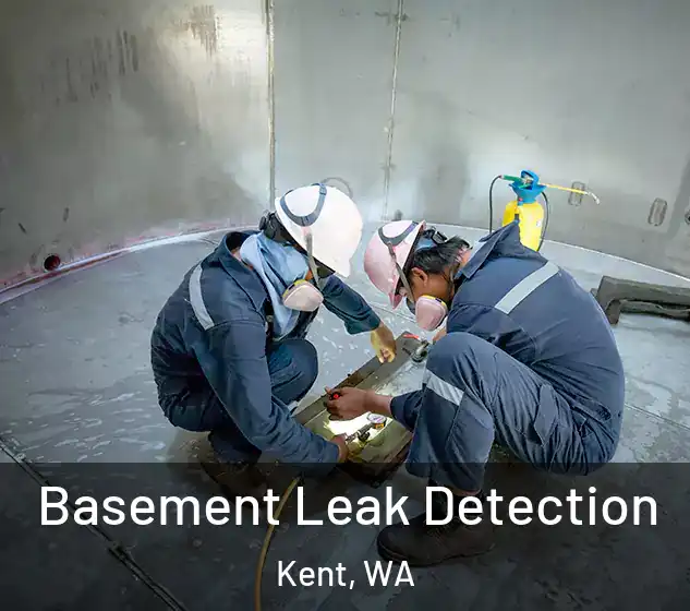  Basement Leak Detection Kent, WA