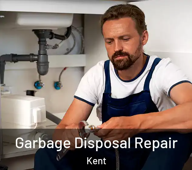  Garbage Disposal Repair Kent