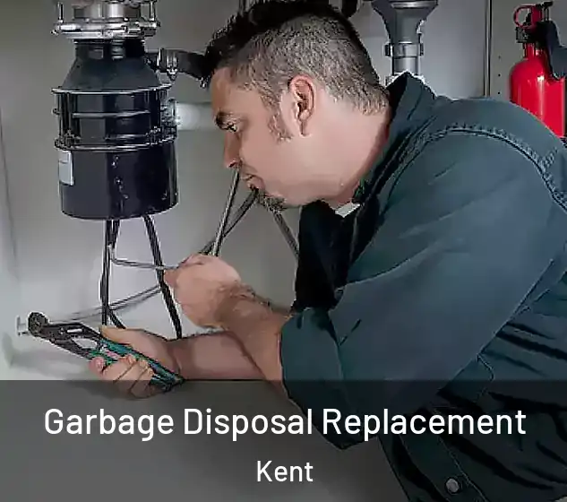  Garbage Disposal Replacement Kent