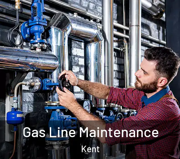  Gas Line Maintenance Kent