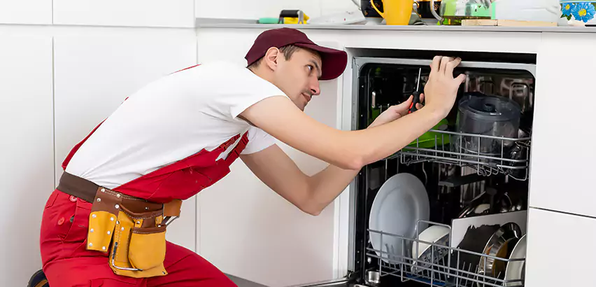 Scope of Kitchen Dishwasher Installation Services in Kent, WA