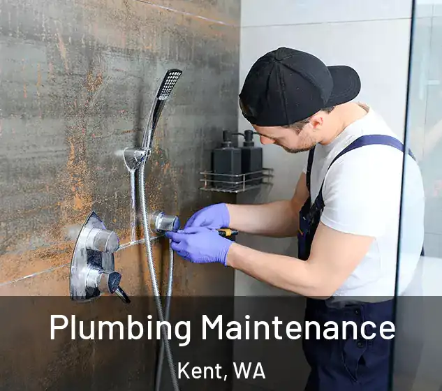  Plumbing Maintenance Kent, WA
