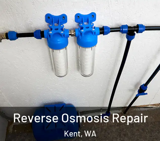  Reverse Osmosis Repair Kent, WA