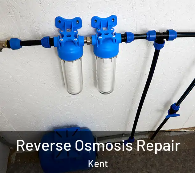  Reverse Osmosis Repair Kent
