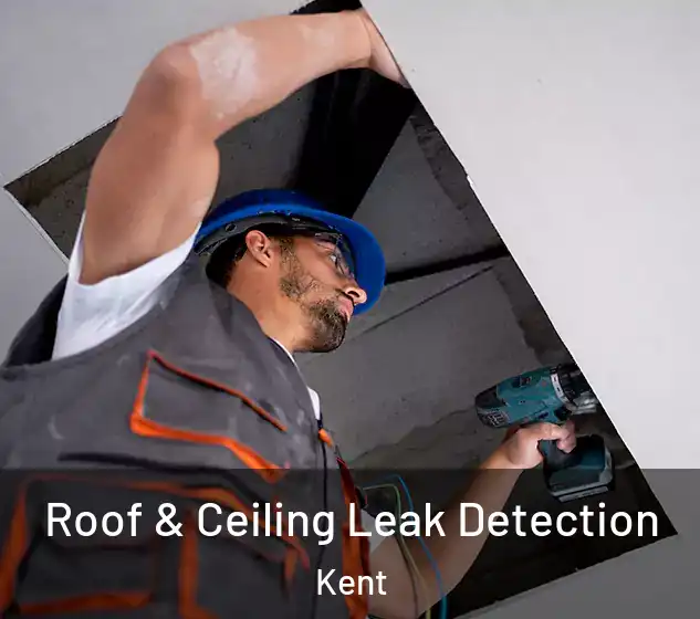  Roof & Ceiling Leak Detection Kent