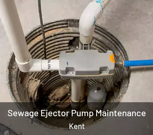  Sewage Ejector Pump Maintenance Kent