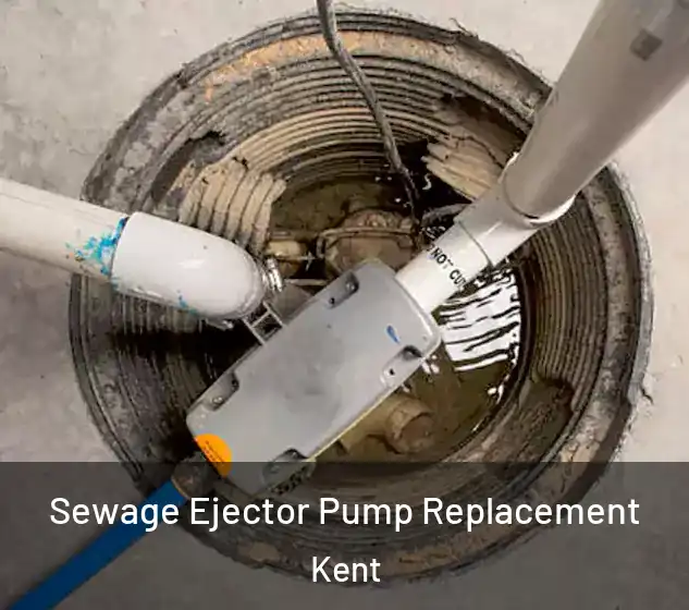  Sewage Ejector Pump Replacement Kent