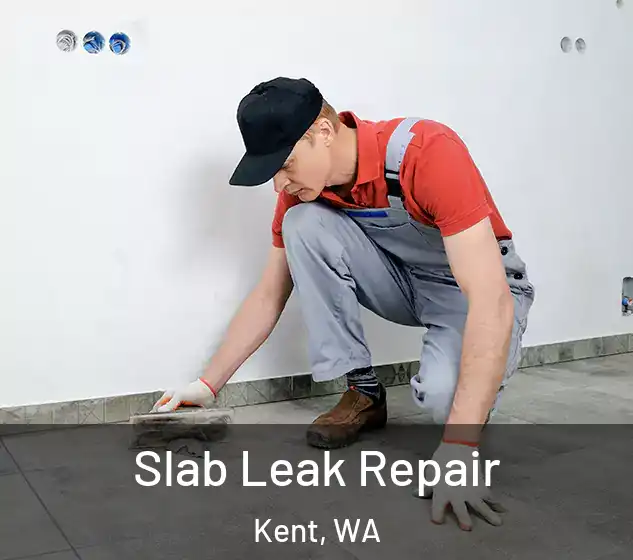  Slab Leak Repair Kent, WA