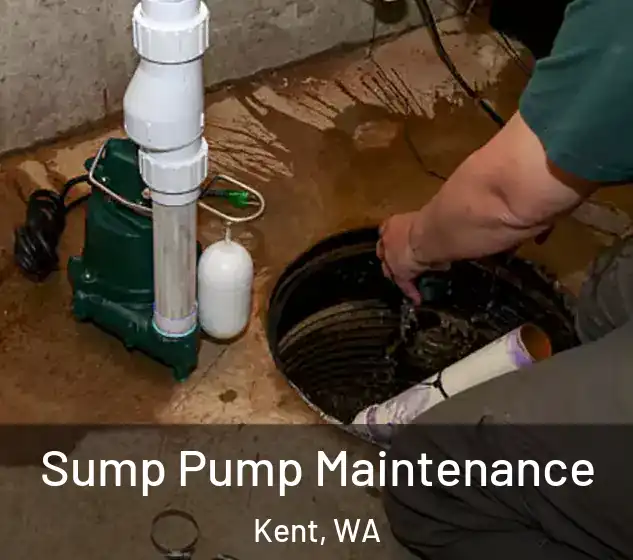  Sump Pump Maintenance Kent, WA