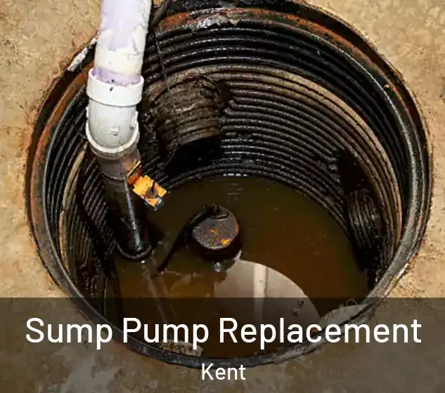 Sump Pump Replacement Kent