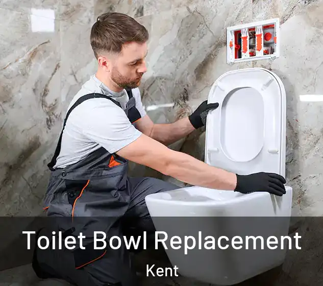  Toilet Bowl Replacement Kent