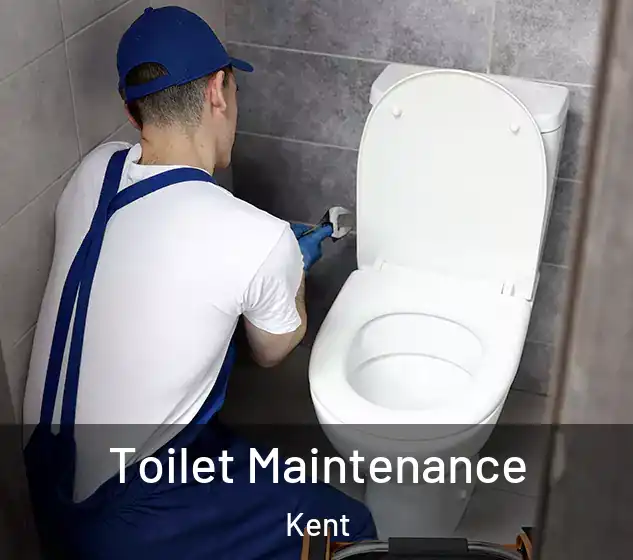  Toilet Maintenance Kent