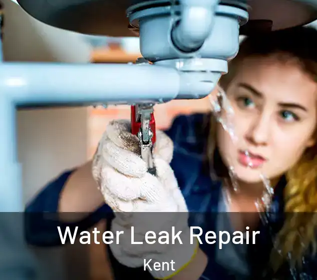  Water Leak Repair Kent